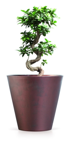 38e23c824902b381ca80111c0661740a