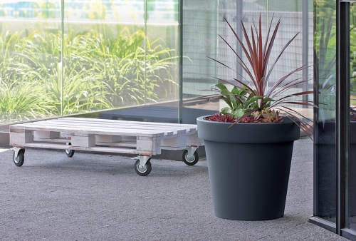 108a24d9ab2417589138eeed55319ba4