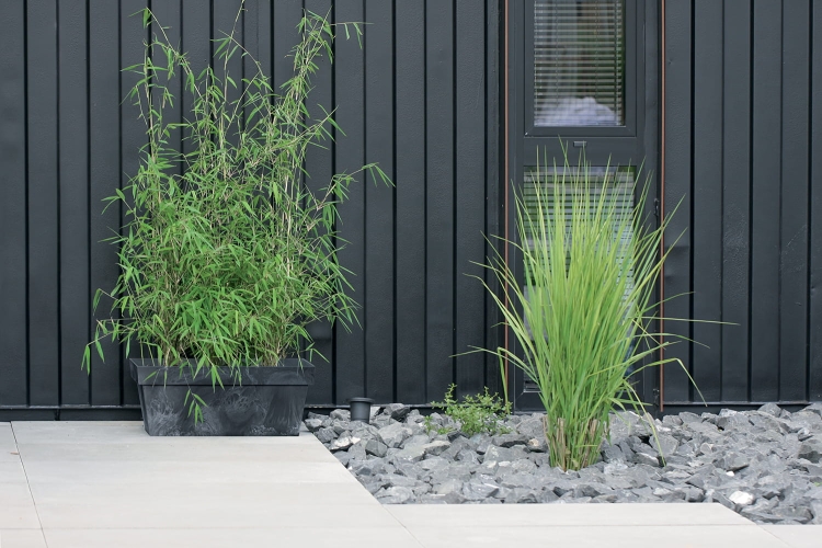 d21f5f0e7082f6124814198bf825181d