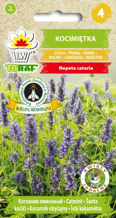 529389aa1343e2029504aceca3b52678