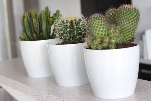 33f6ed093f39a110a0863ffc979265cc