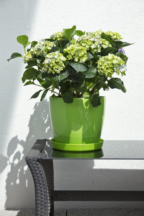 53551105f385211955bdcd6c87cda797