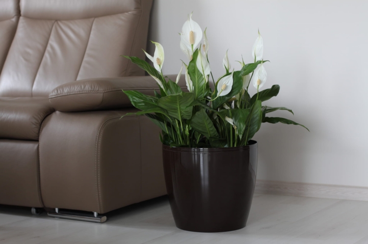 e80e10c2932a071246f4c669d08ca048