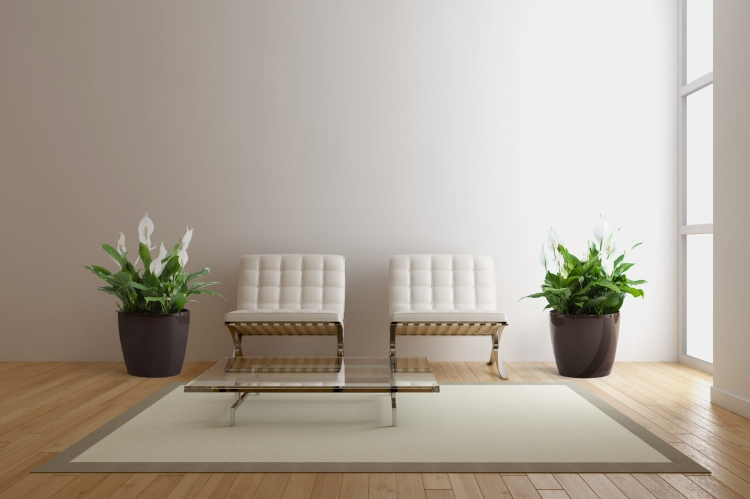 8255ae3f570dd141f15f0df5ee6f9be3