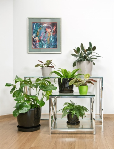 bd6f74b939e353c0b00b881e083f7f06