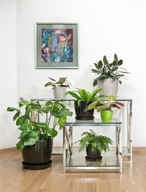 bd6f74b939e353c0b00b881e083f7f06