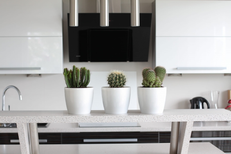 cca216e0171a9b3643bda425e42d12b9