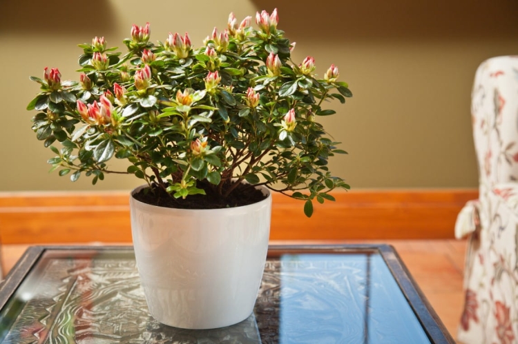 513100ccc2478cadcf56bd134a547012