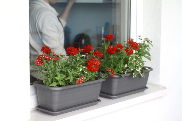 Skrzynka balkonowa Natura 100cm ANTRACYT Lamela LA432-82