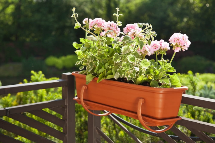 Skrzynka balkonowa Natura 100cm ANTRACYT Lamela LA432-82