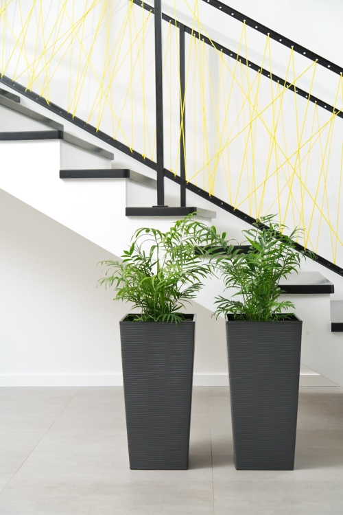 21fc20deaf950a26f6877fba4e0a5e75