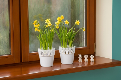 ebacb9557d0cbc82a31644bfa9a6fafa