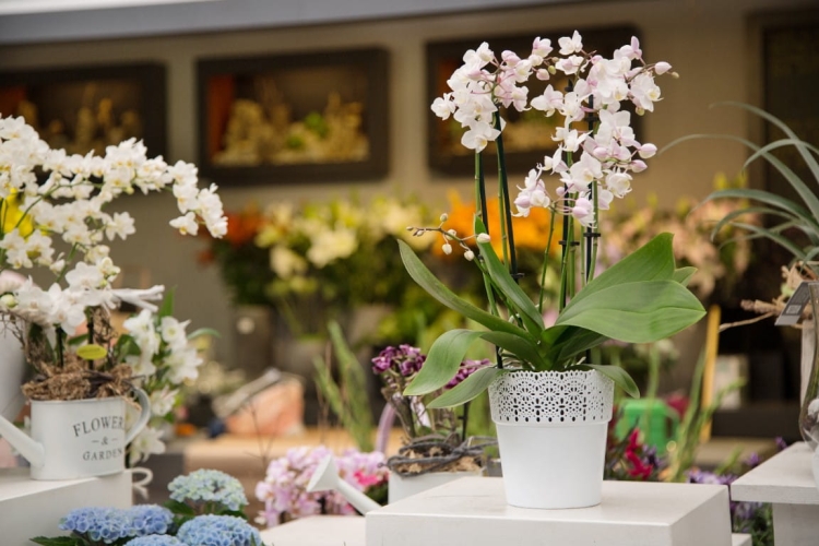 36460748a3fcba427e8b6fca8ff55bf0