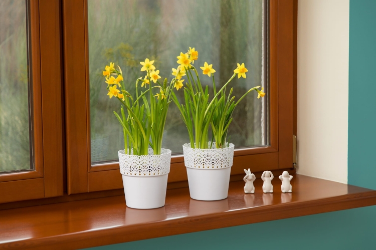 dd45d93c3186b92b5345e929891499fe