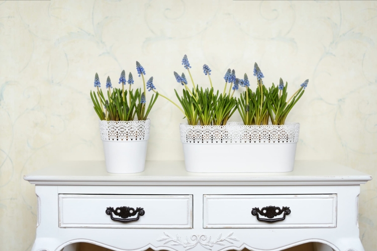 b6c46a3092fa59d37ab683b7ef641684