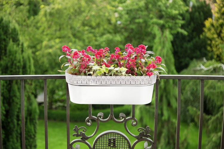 dfcd010baf9117002313ae6a9f3199fd