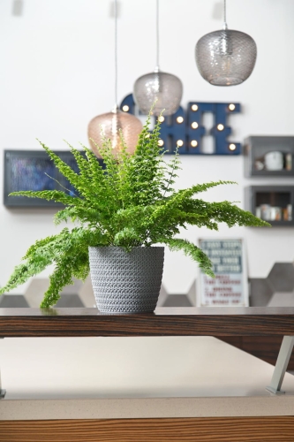 c0d1f58d018d34bc22f41692da98c625