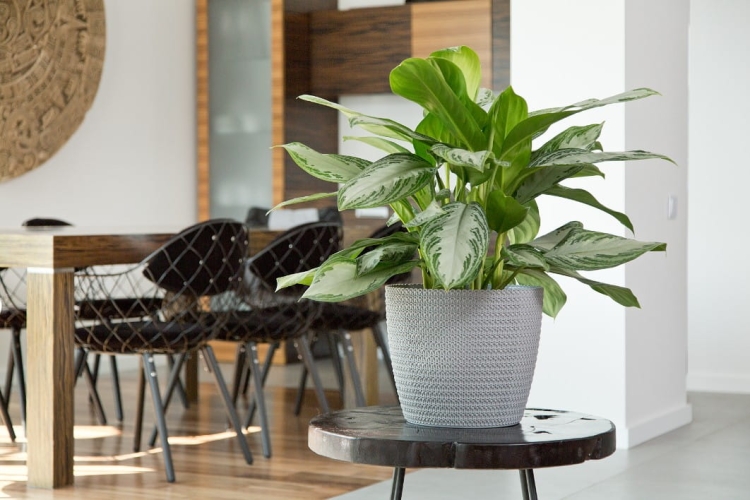 6e1567aca1197bc133b77d665e90abd2