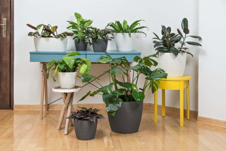 e2e394075c7152a471dc2a6d5136077e