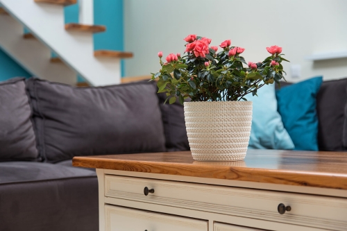 8d25bb0dc61c58dfe5bd801fdf6f999f