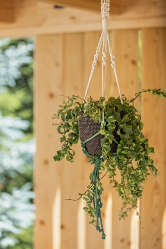 4142e7f4af5a918231878e9cbf55c74f