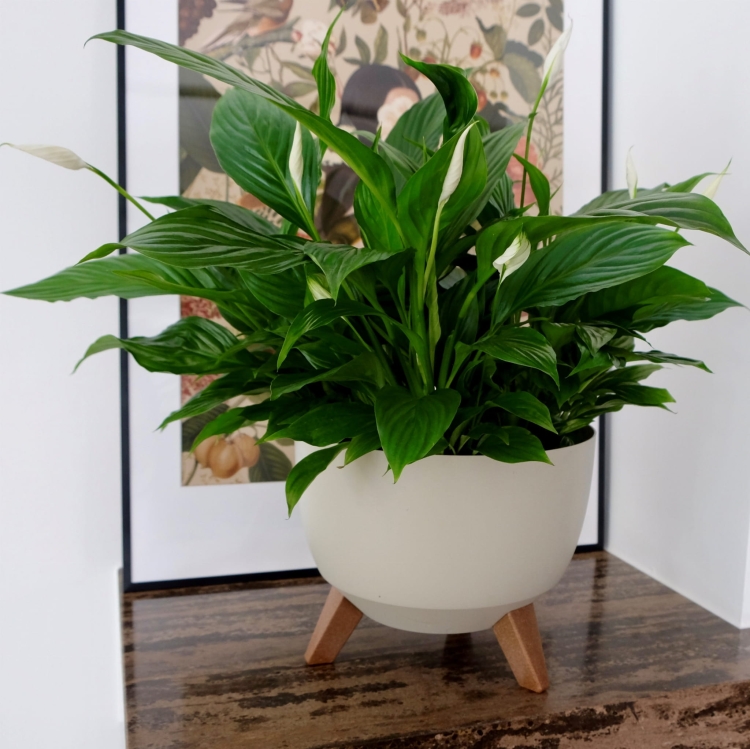 b8f6f71fb4fd5c296eb52738167e249d