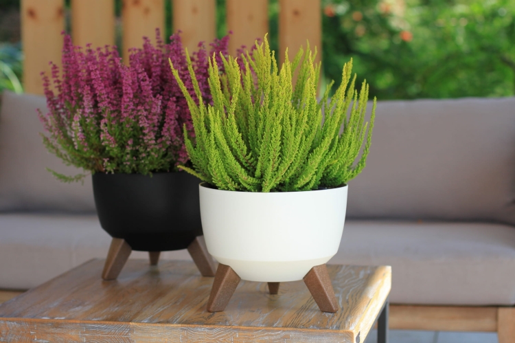 46dc0adca6c5d5c02c1fa887980f6e54