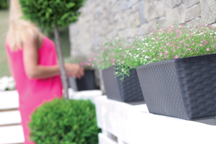 Skrzynka Balkonowa Ratolla Case P Umbra ISR500P-440U