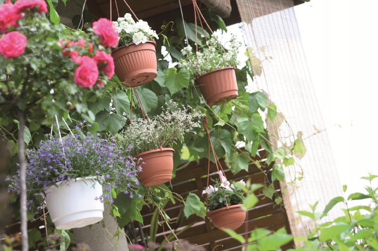 bebda36cac766a0b4bb86d8e61f2db1c