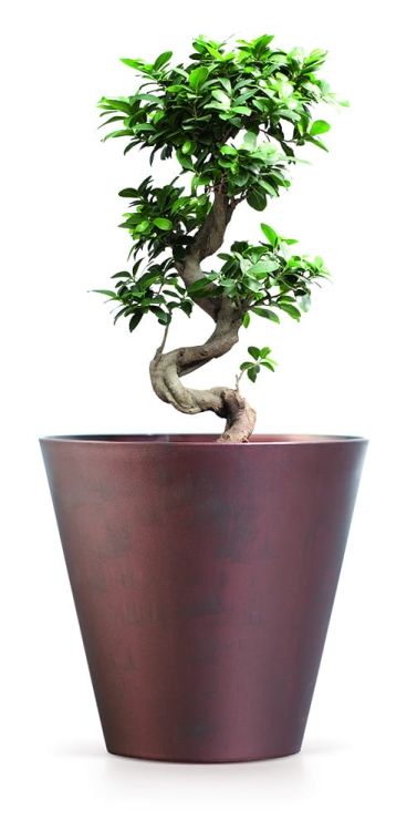 38e23c824902b381ca80111c0661740a