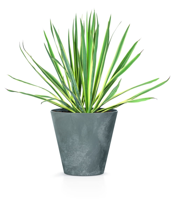 a31bc6a50f694c55466f6c8e38ef9542