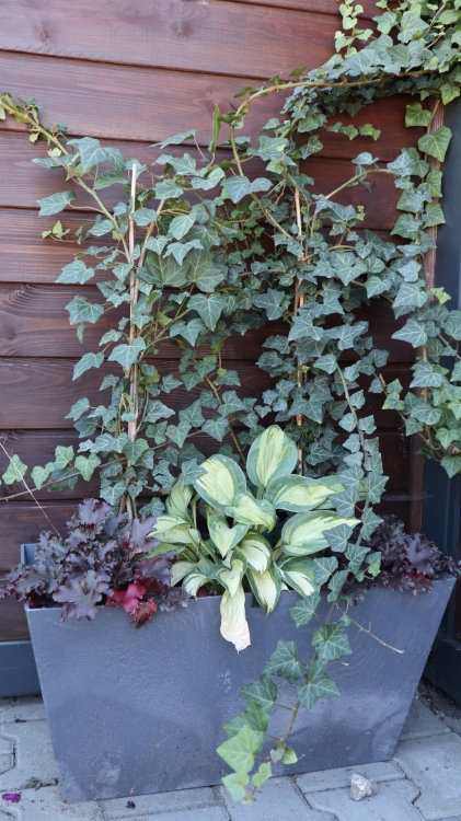 0ff8a5316555287e79ee8ee3000f01b7