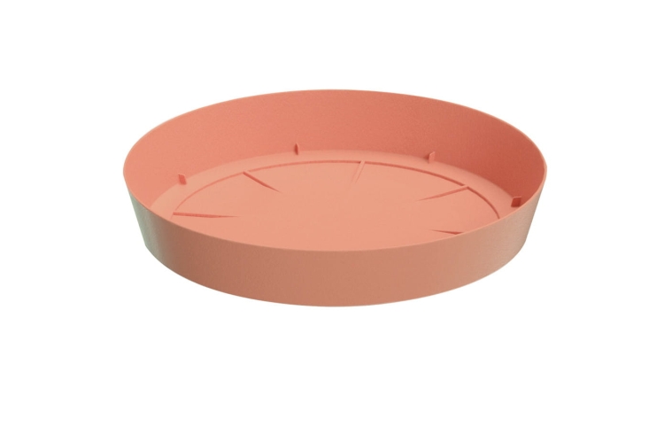 8e72d07a6e4ec57522ccf80a780683db