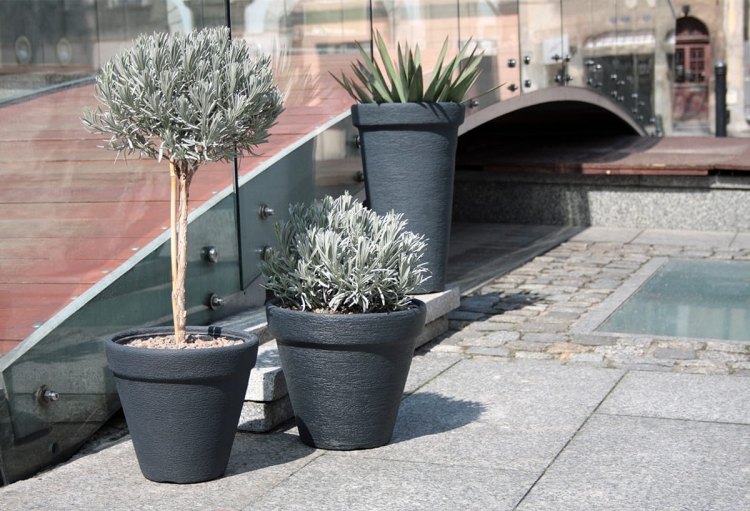 da074769a4d87d4ddfba2956fa6848a2