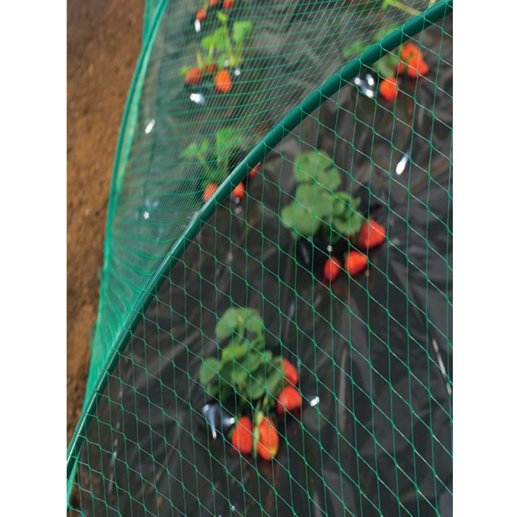 Siatka Przeciw Ptakom na Ptaki 2x5m BIRDNET