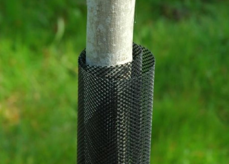 Osłonka Pnia 11cm/80cm czarna Siatka