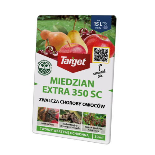 a395000a87d135fa913a80696cf19ff5