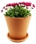 DEGREA Doniczka Ceramiczna Terakota ETNA D26 cm + Podstawek D23 cm
