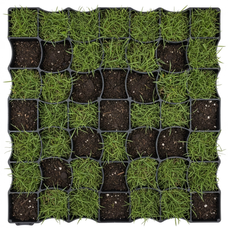 kratka_parkingowa_semer_grid_op40xb_15.png