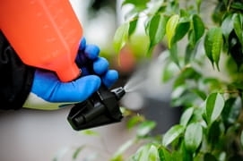 Kwazar Opryskiwacz Mercury Super 360 0,5l