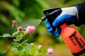 Kwazar Opryskiwacz Mercury Super 360 1l